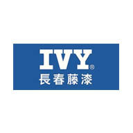 长春藤漆IVY图片